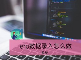 erp数据录入怎么做