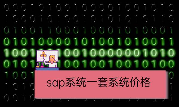 sap系统一套系统价格