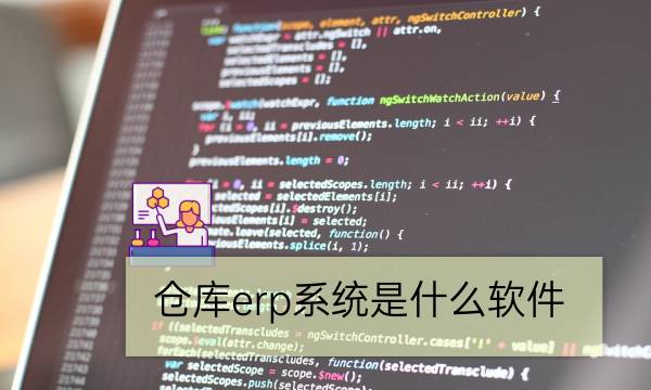 仓库erp系统是什么软件